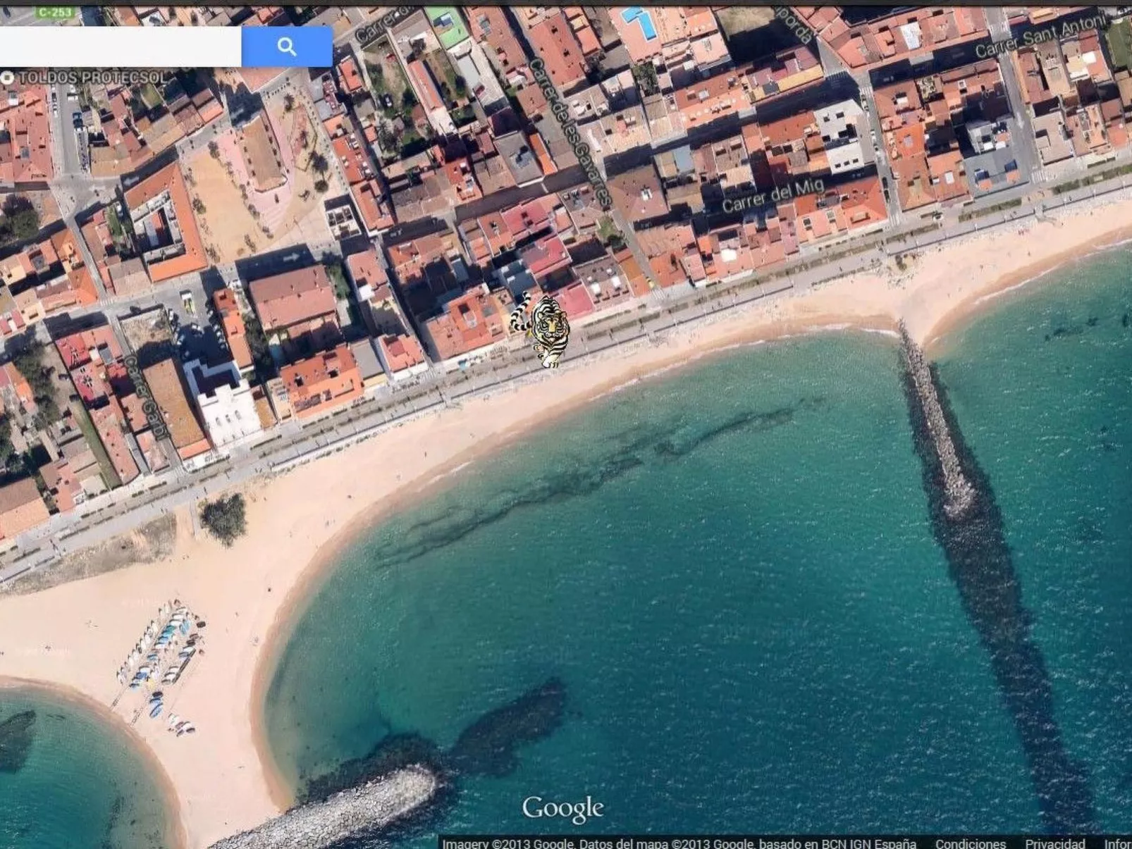 Wohnung mit Bergblick - Outside