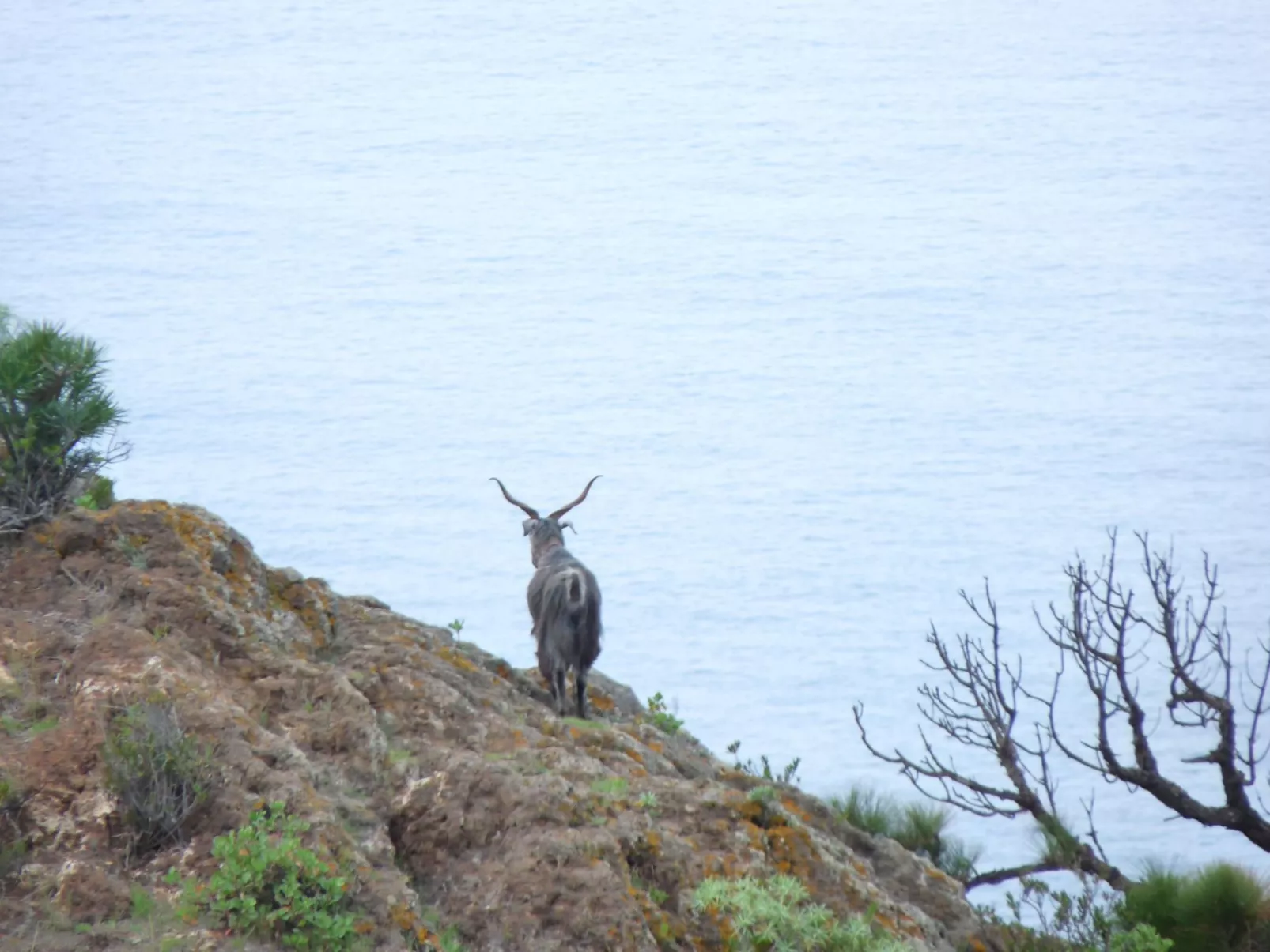 Ruhige Finca Topo del Drago mit Meerblick-Dehors
