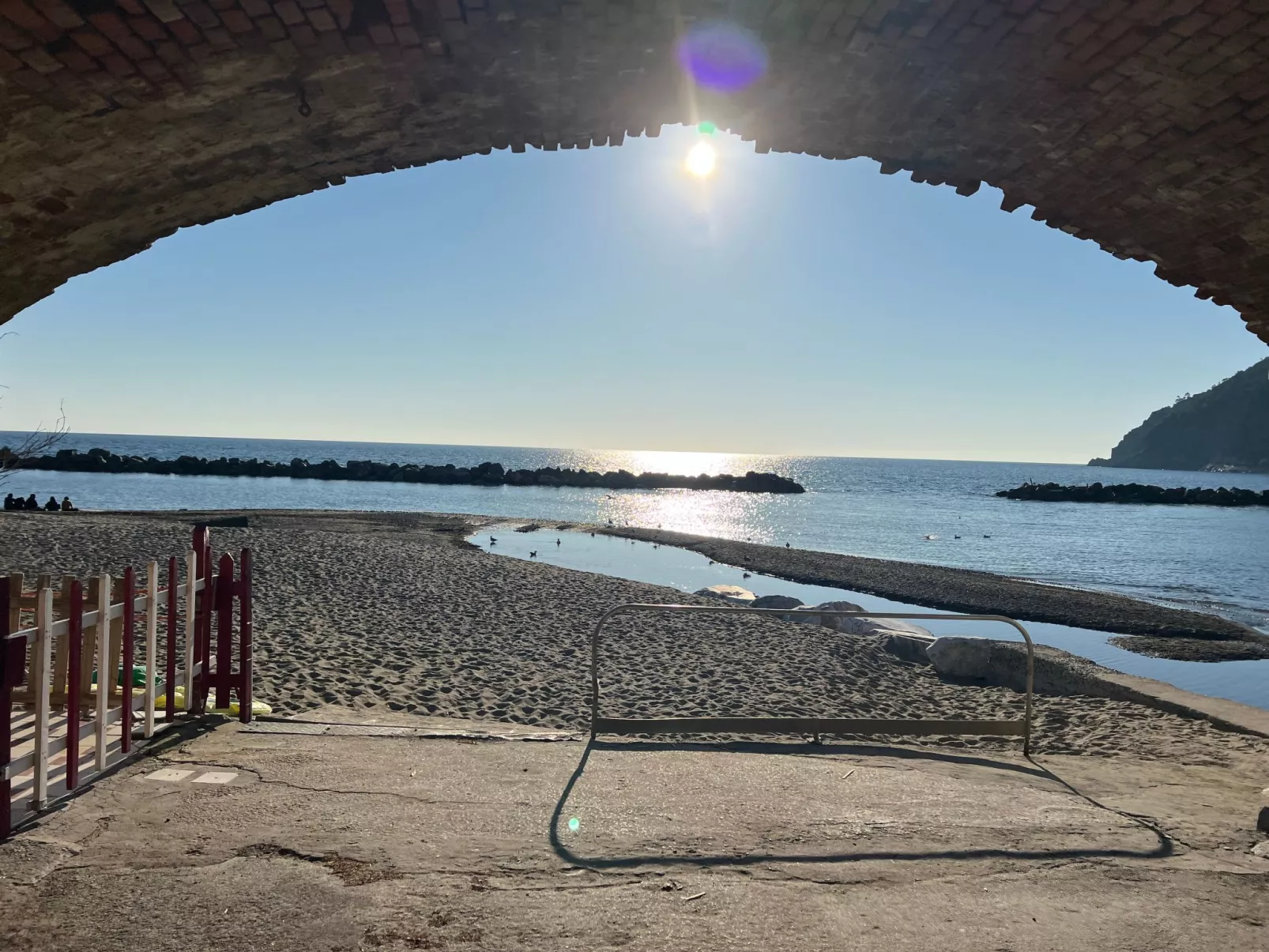 House Agave by Holiday World-Image-tags.info