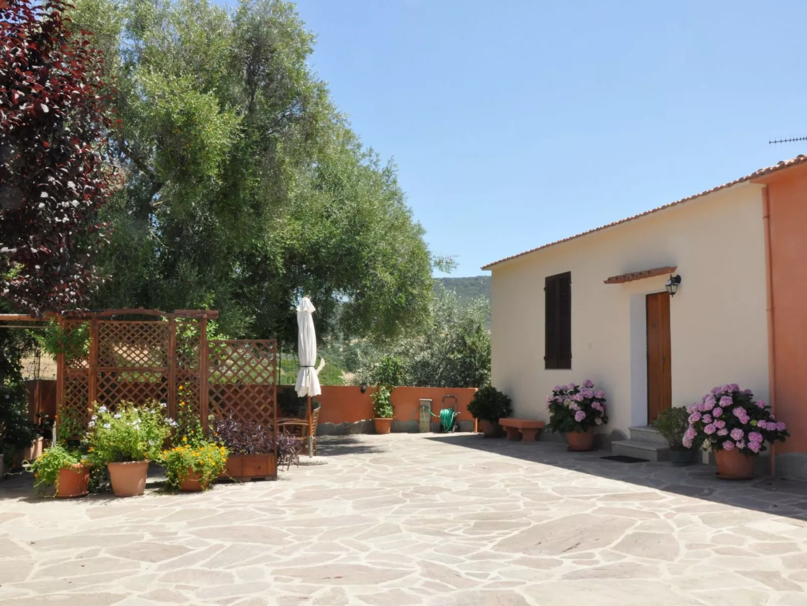 Lubagnu Vacanze- Zwei-Zimmer-Wohnung D-Image-tags.info