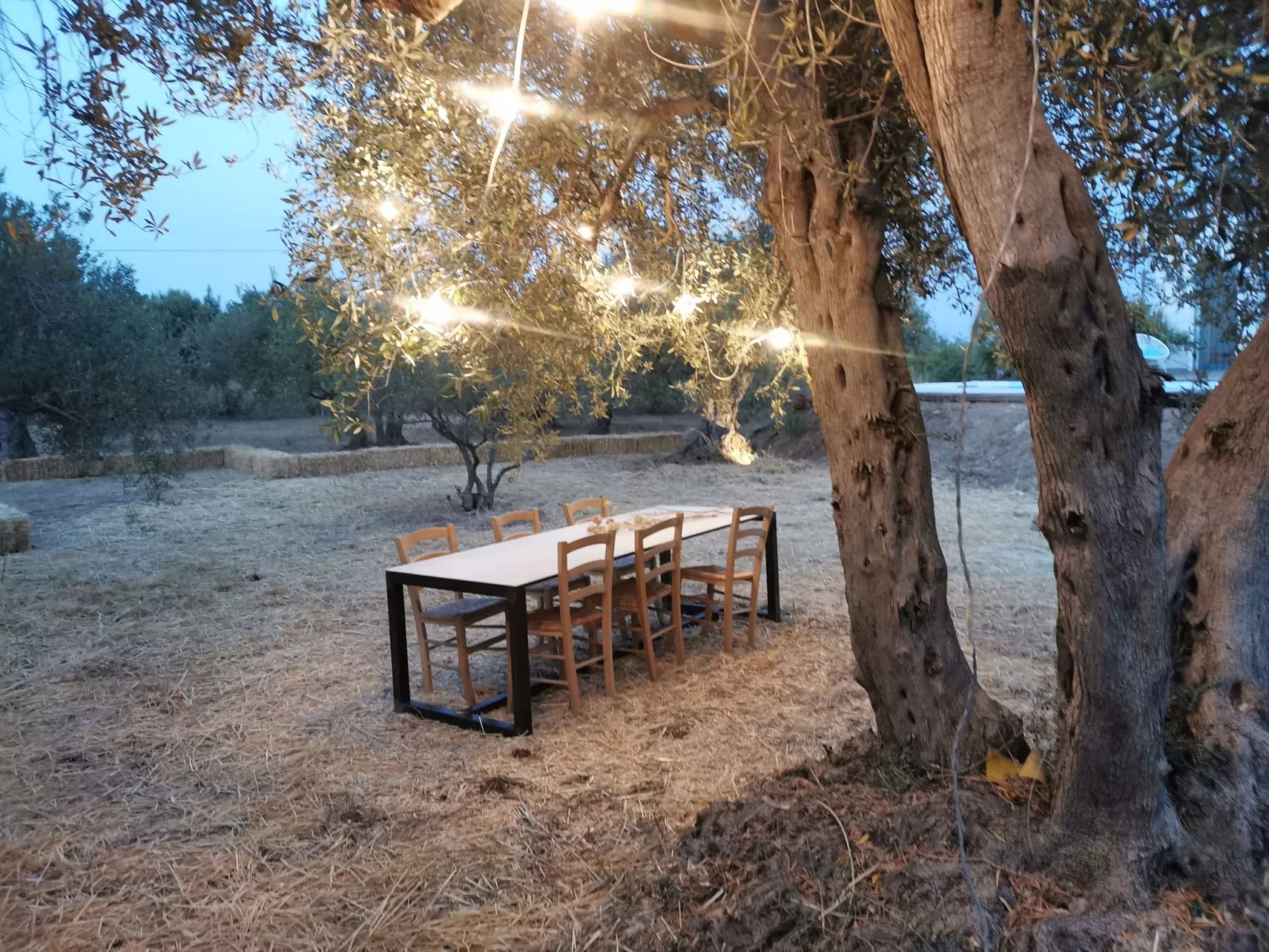 Haus in Partinico mit privatem Pool-Dehors