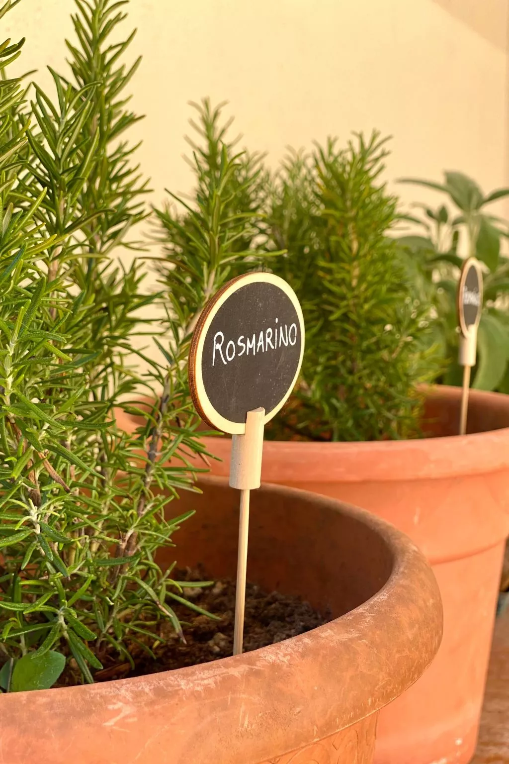 Gemütliche Drei-Zimmer-Wohnung mit Garten-Outside
