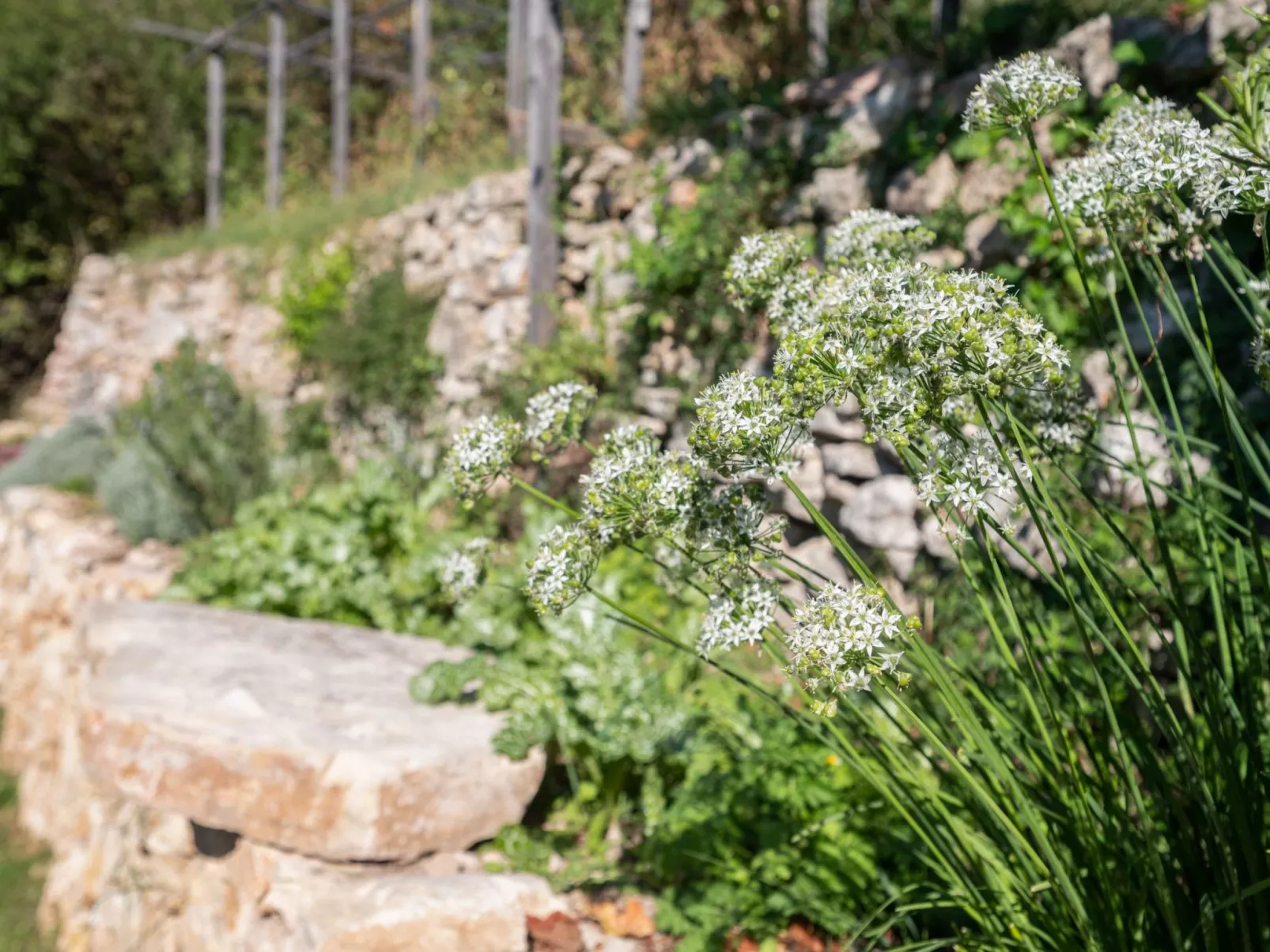 Alleinstehende Villa mit Pool und Traumaussicht-Draußen