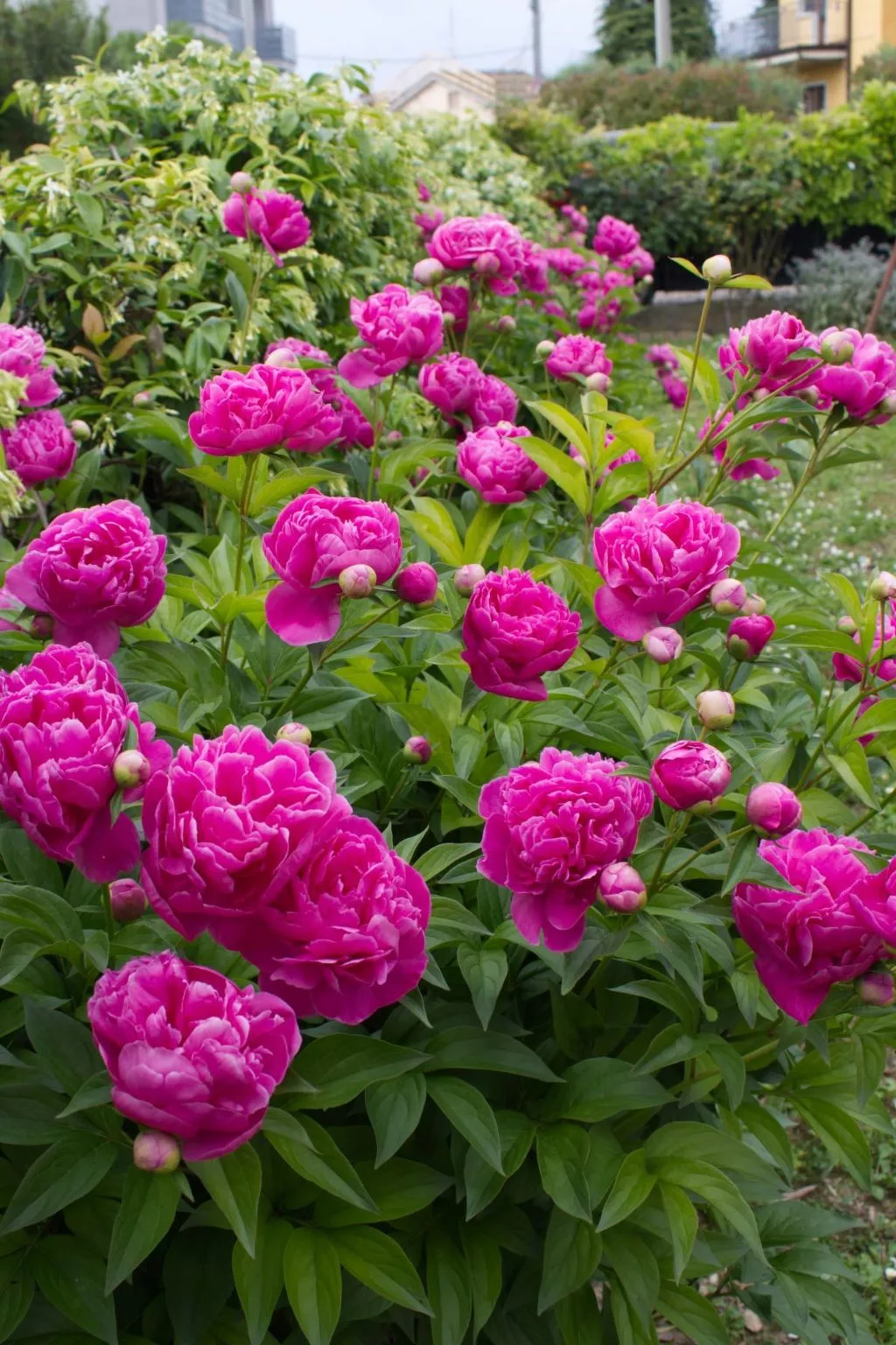 Wohnung 'Casa Natalia' mit Privatparkplatz-Outside