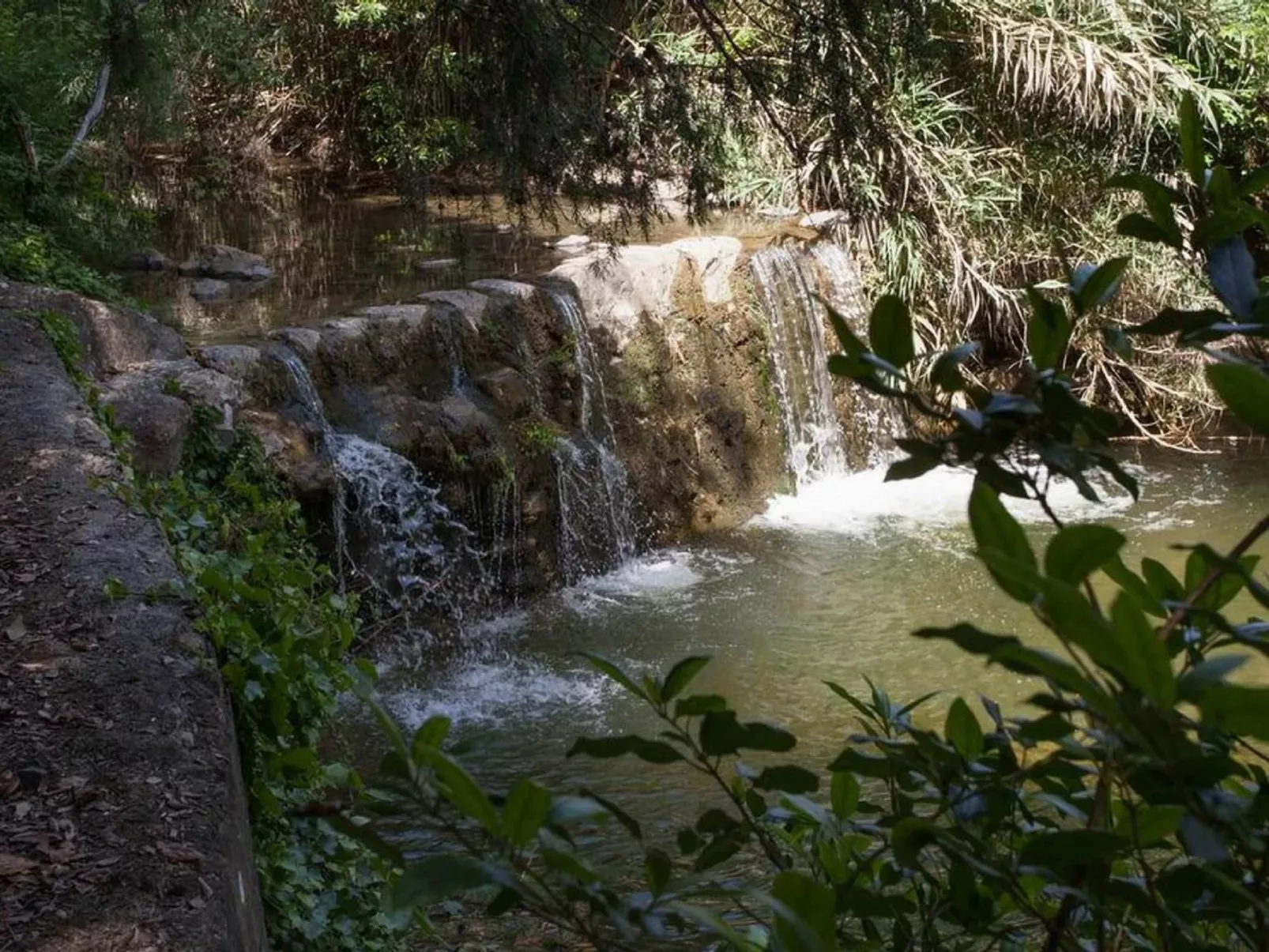 Molino Trilo 5-Outside