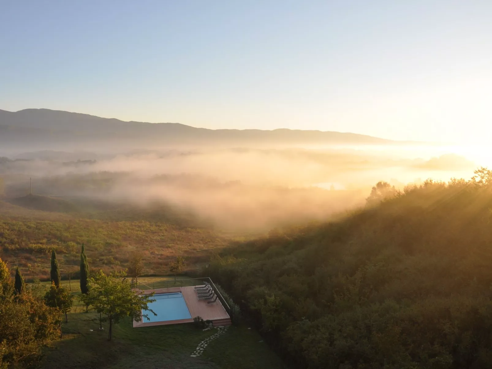 Sonnenblume Wohnung-Image-tags.info