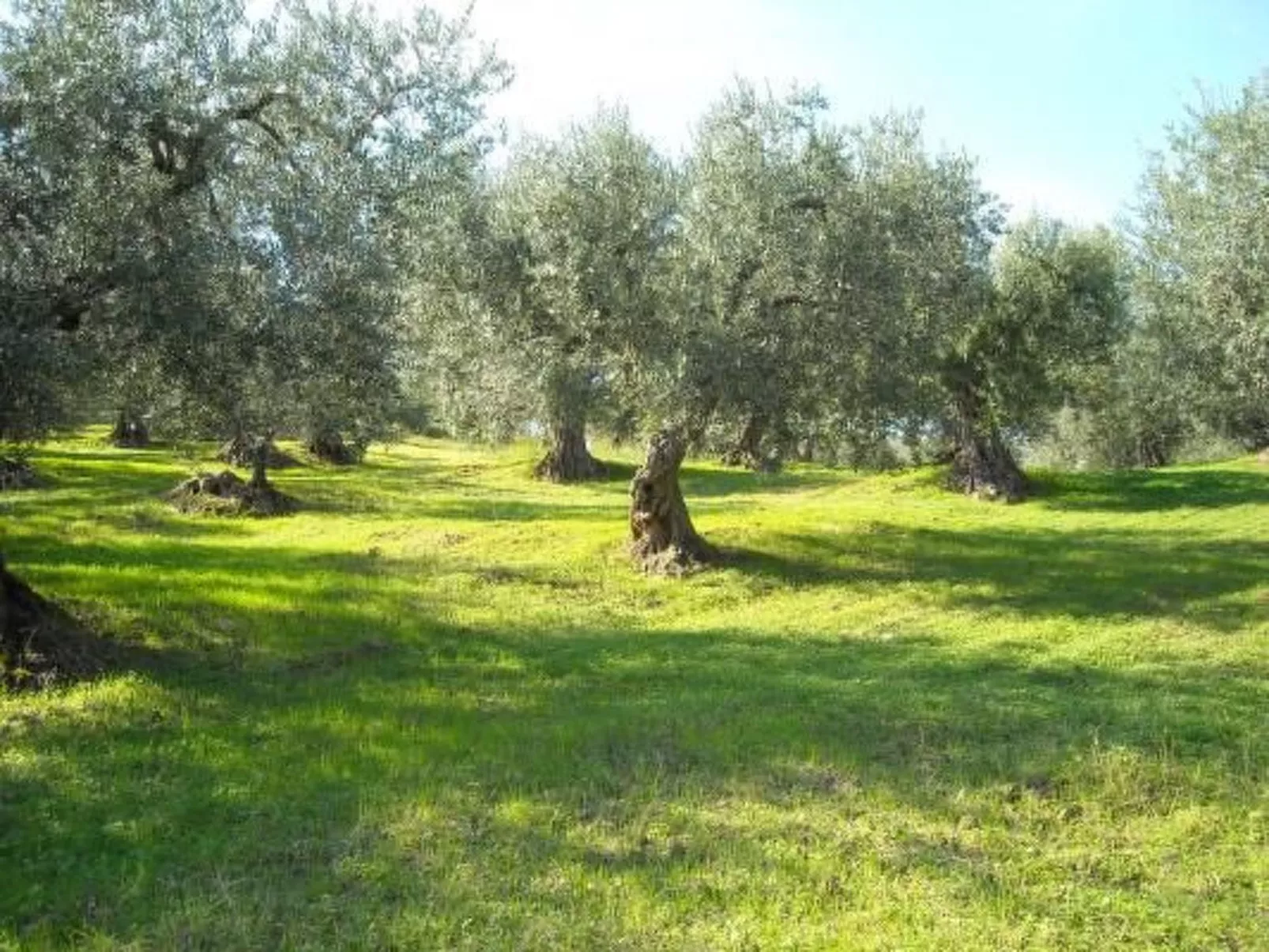 Anwesen mit Schwimmbad-Outside