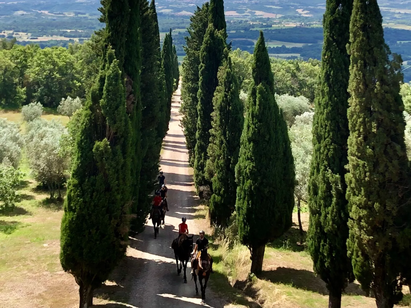 Anwesen mit Terrasse-Image-tags.info