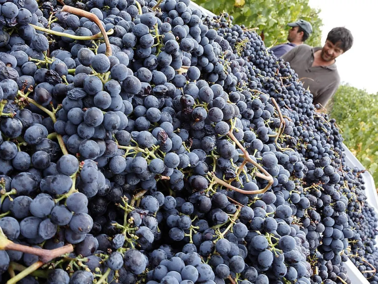 Wohnung mit Poolbenutzung-Image-tags.info