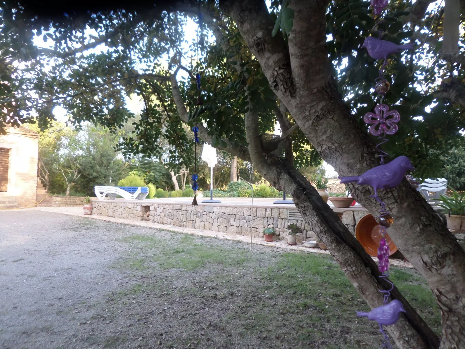 Finca Casa Alba - großer Außenbereich für Kinder-Image-tags.info