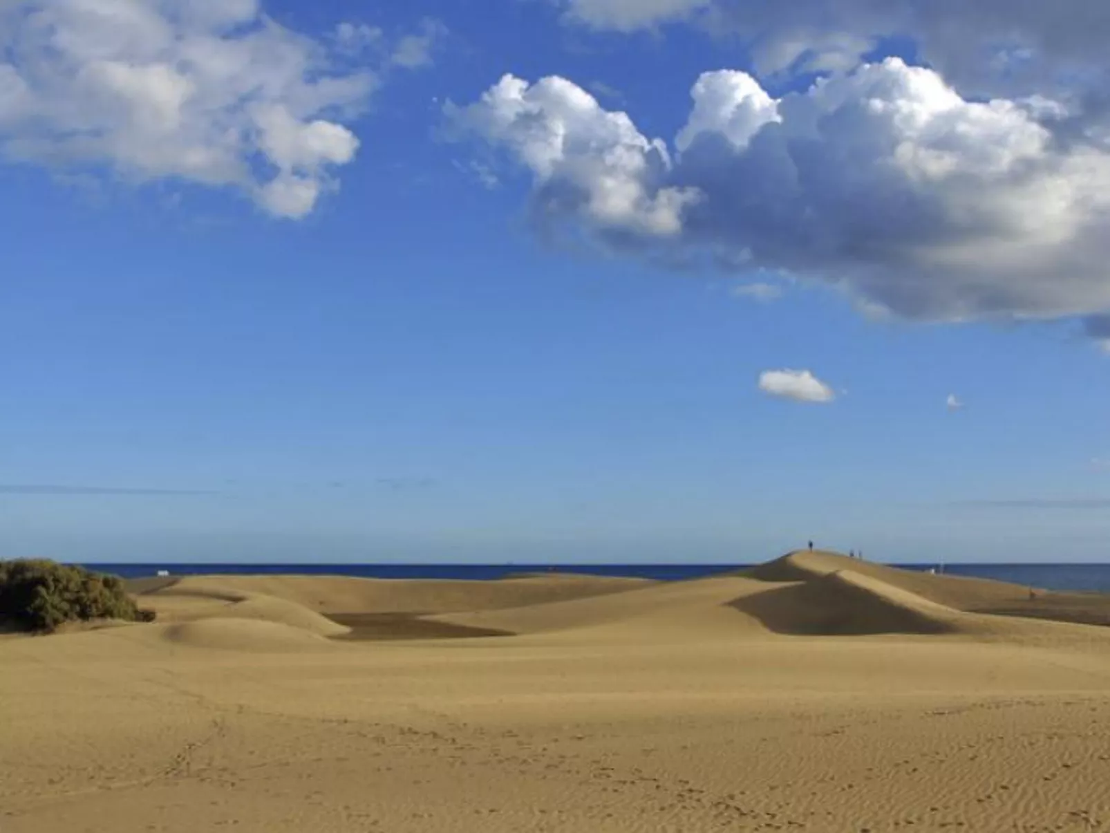Bungalow Dunaflor mit Terrasse-Outside