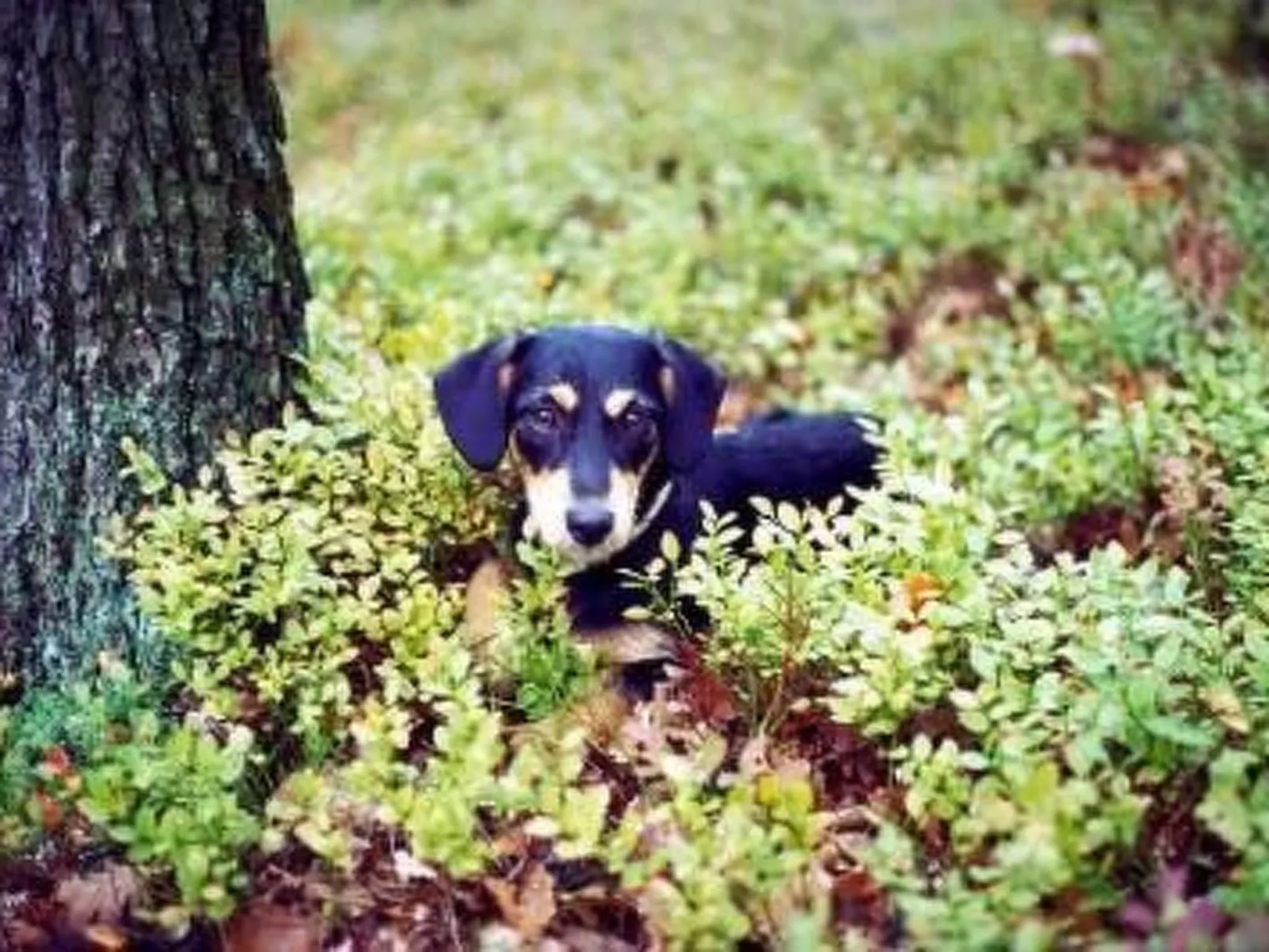 U SEMUSHKY Apartment 3-Image-tags.info