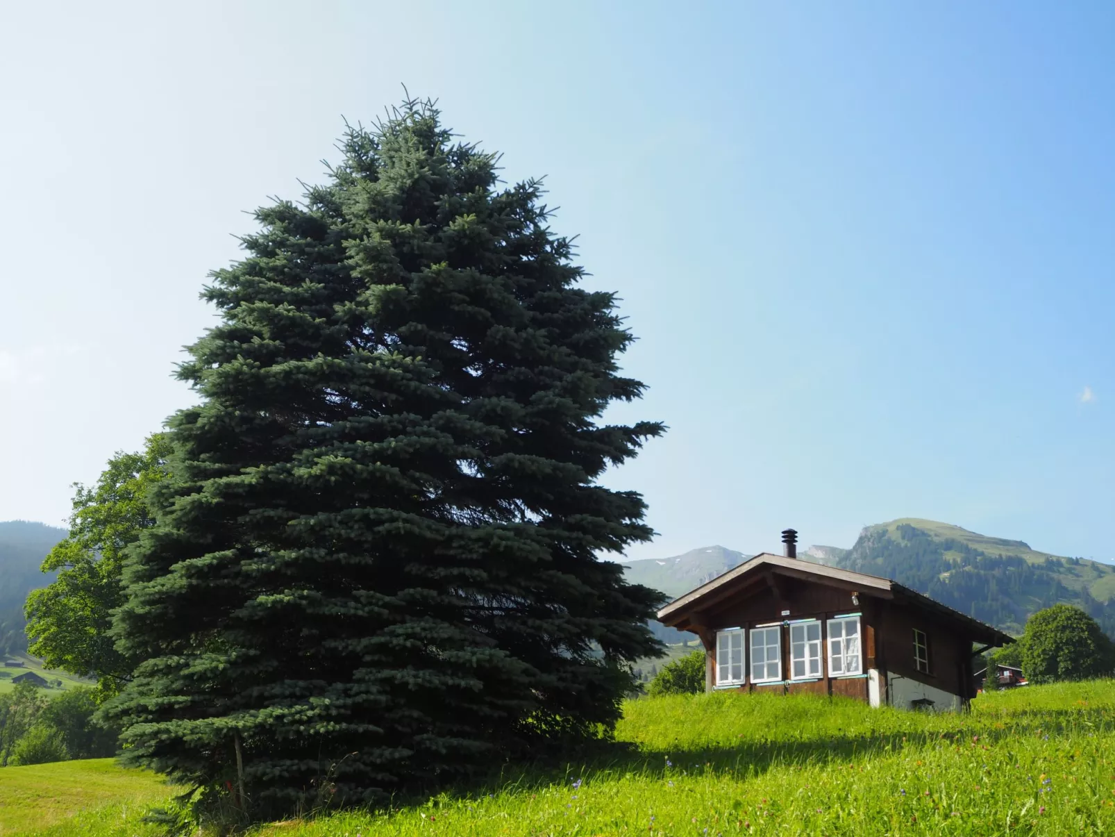 Chalet an ruhiger Lage mit schöner Bergsicht-Draußen