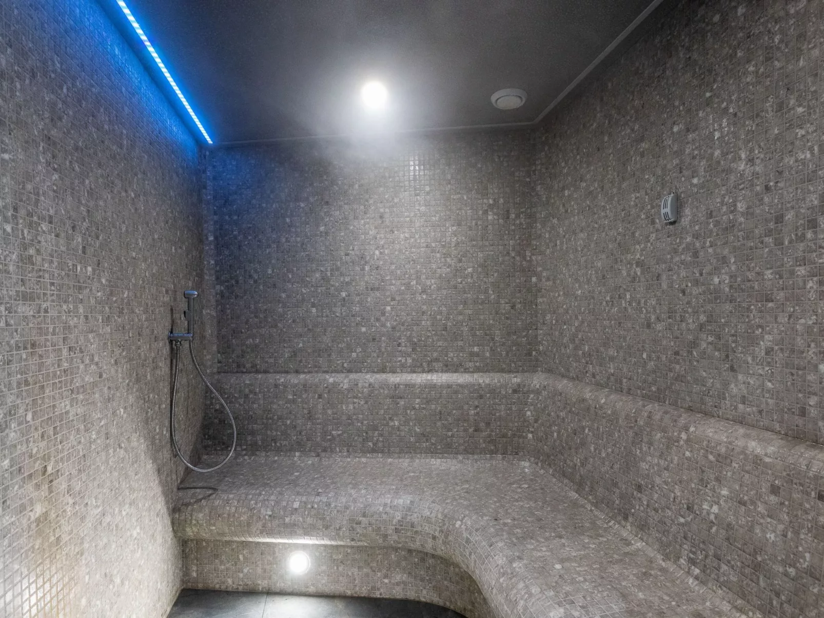 Lividus in Usedom am Meer-Image-tags.info