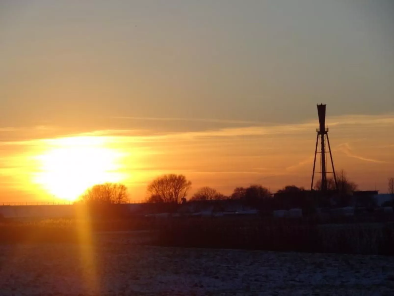 Eul in Butjadingen-Großwürden-Dehors