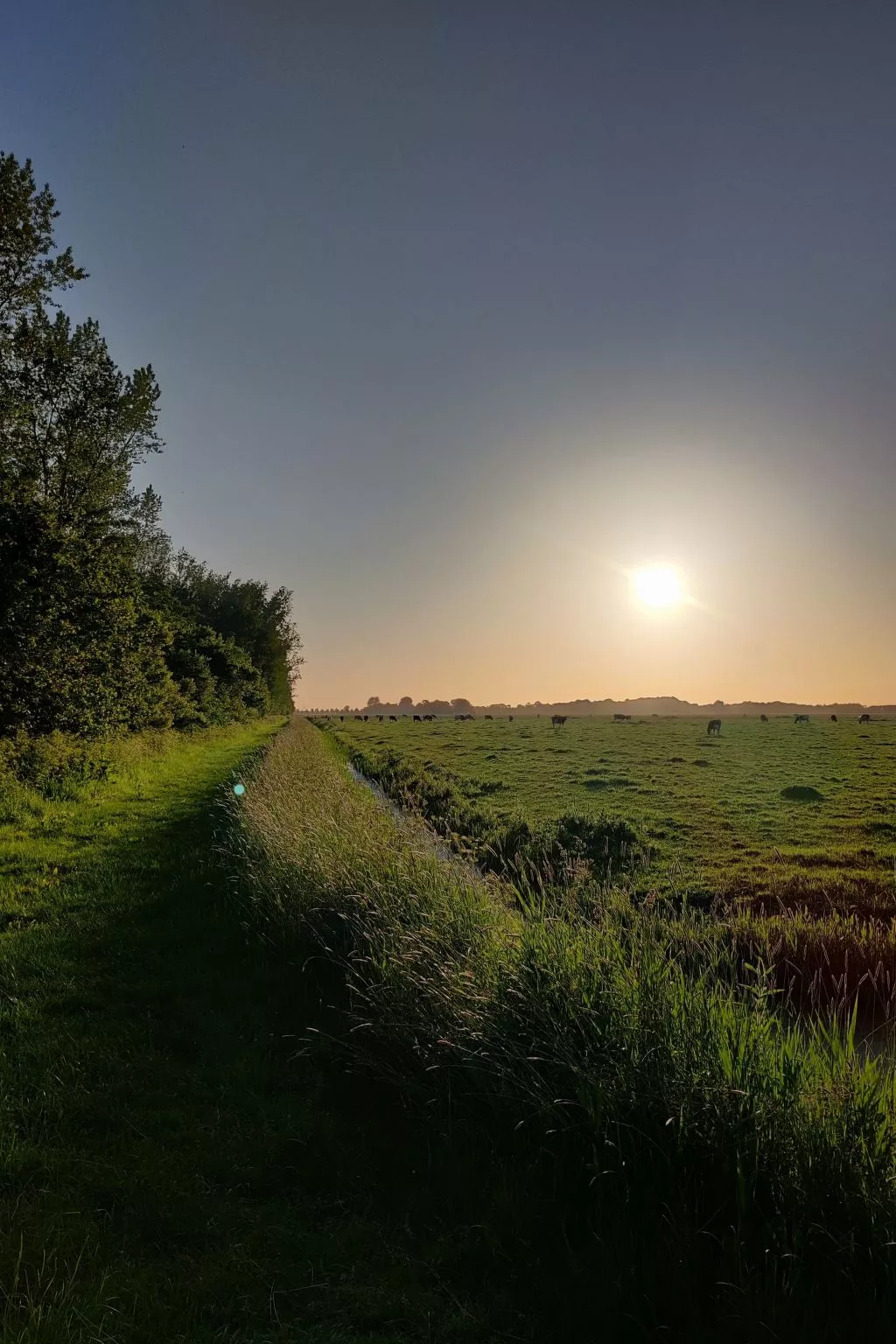 Appartement in Leeuwarden mit Privater Terrasse-Draußen