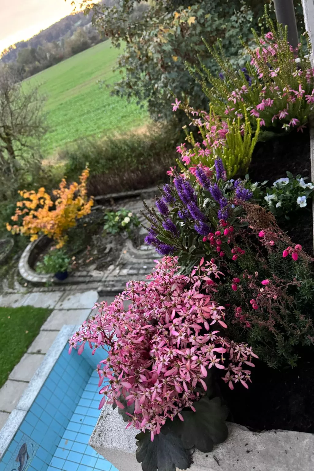 Silent Escape-Outside