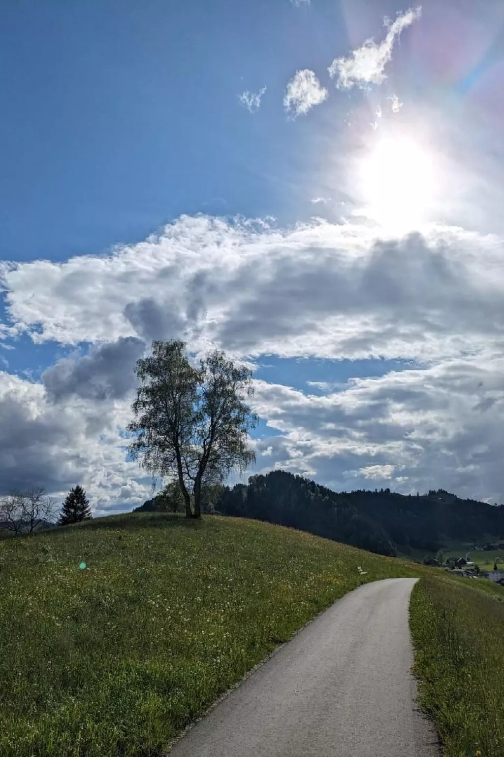 B & B auf dem Bauernhof-Draußen