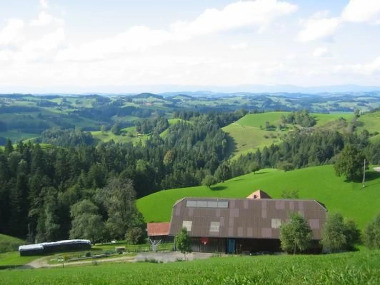 Ober-Tiefenbühl-Dehors