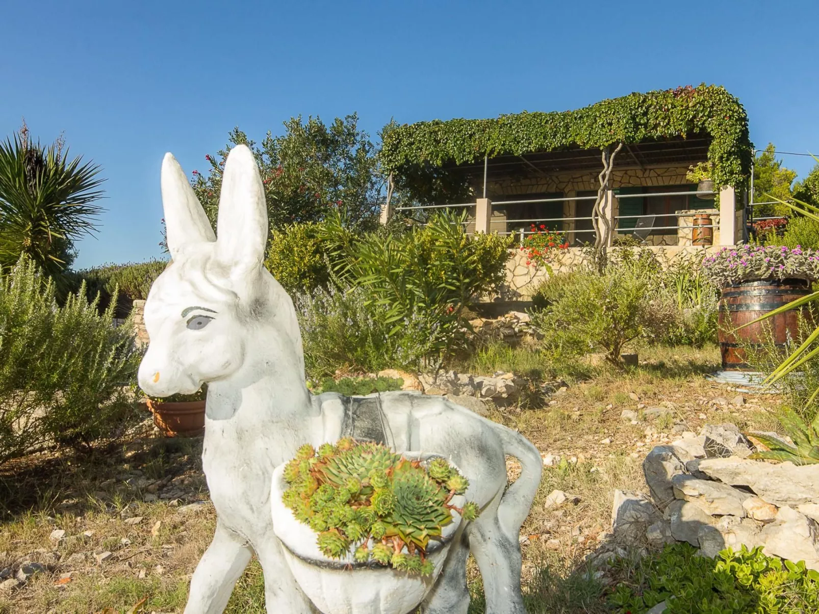 "Mirta" direkt am Strand-Draußen