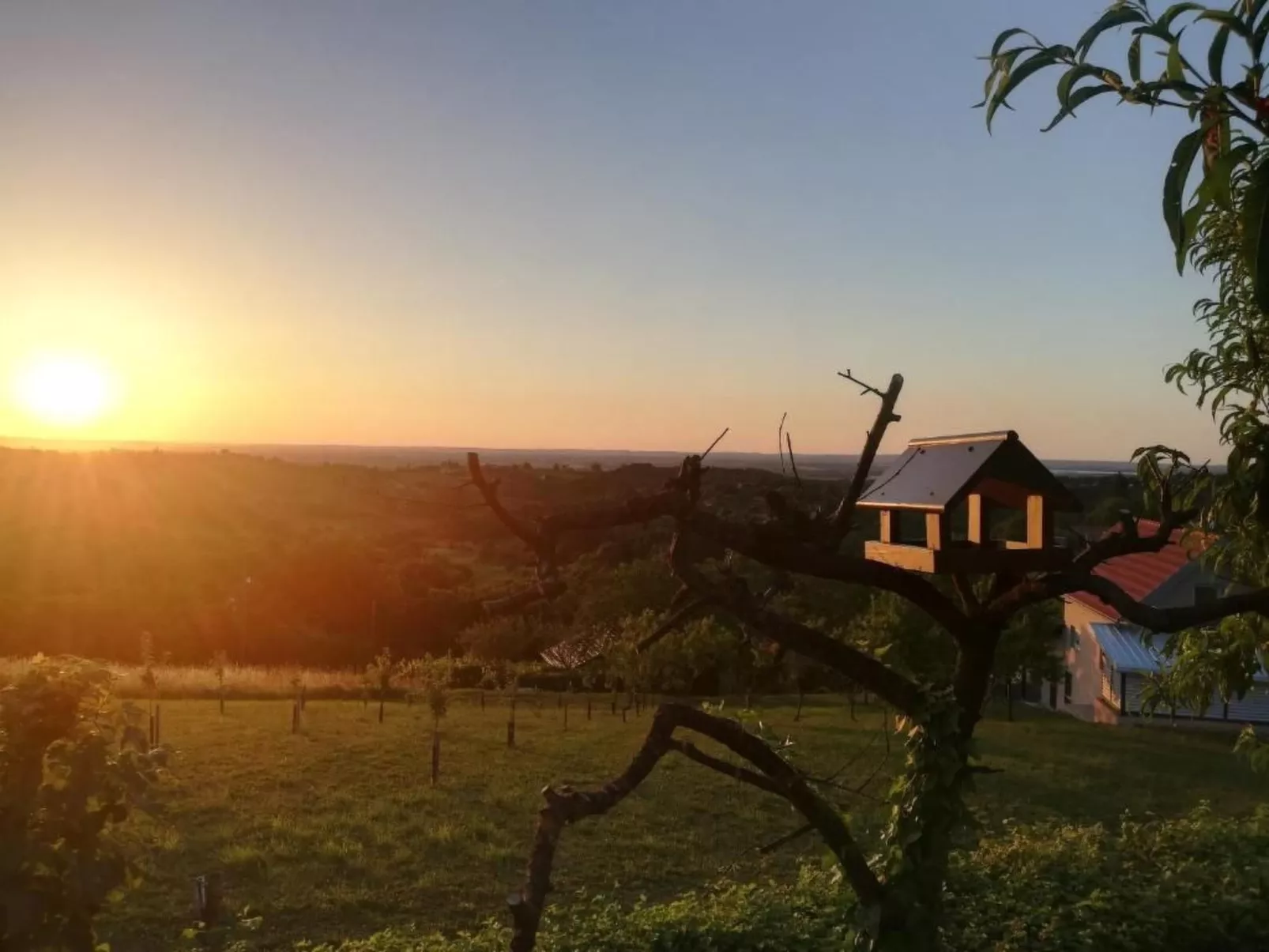 Sofija-Image-tags.info