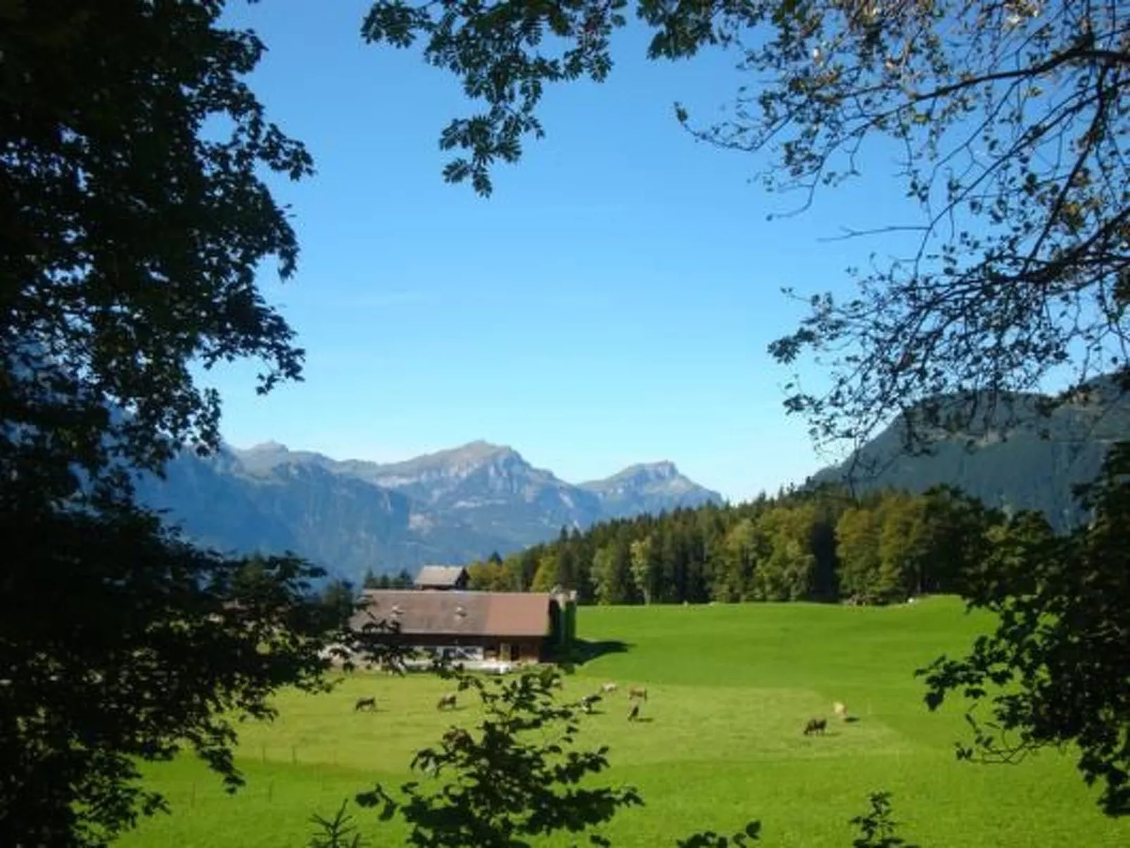Ferien im grünen links-Dehors