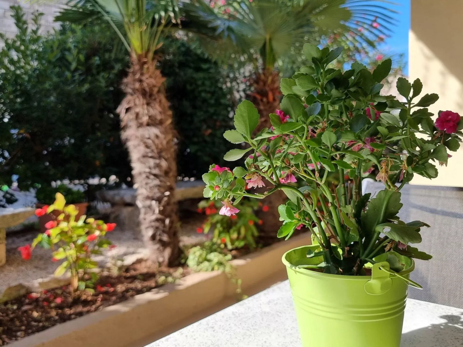 Für 4 Personen ca. 40 m&sup2; in Novigrad, Adriaküste Kroatien (Westküste von I-Dehors