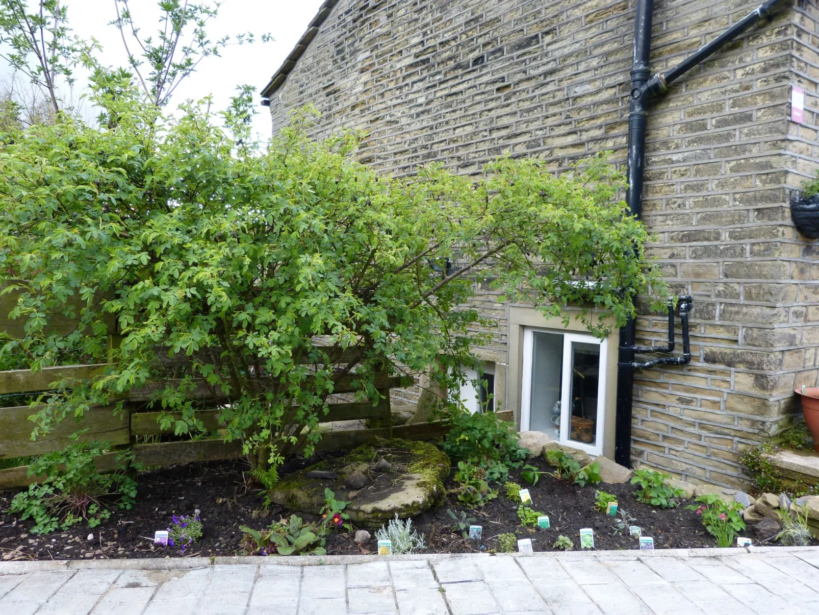 Gemütliches Ferienhaus für 2 Personen und 1 Kind-Draußen