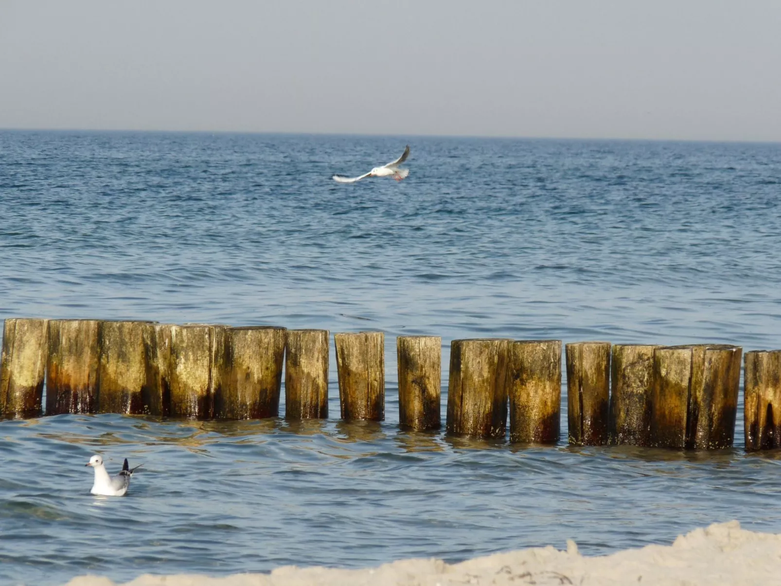 Janet Ratschkowski-Draußen