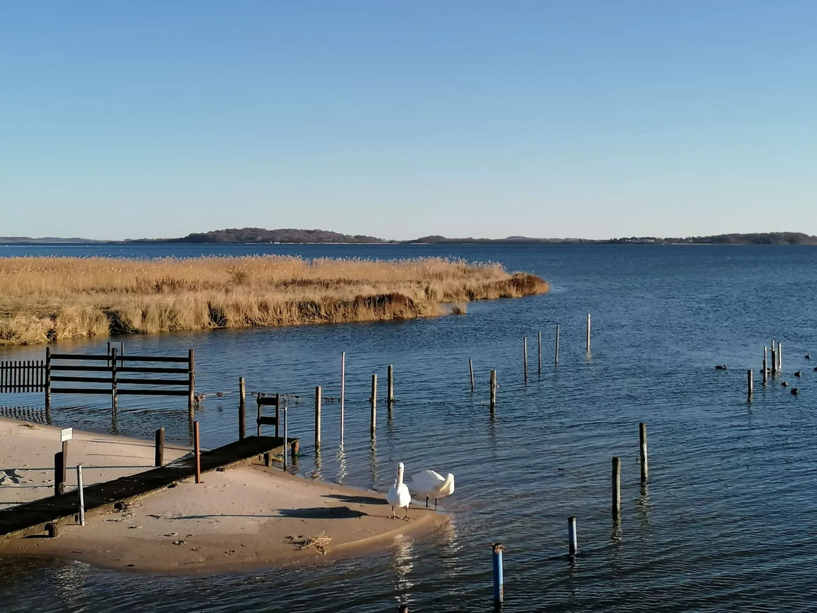 Boddenblick-Vilm-Draußen
