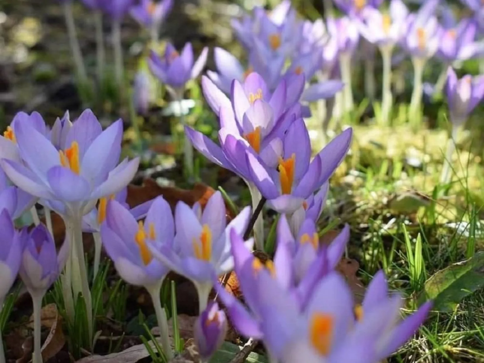 Stadt Apartement-Draußen