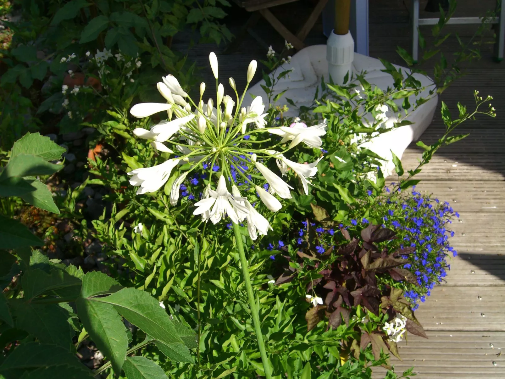 Gemütliches Ferienhaus in Fischbach Rhön-Outside