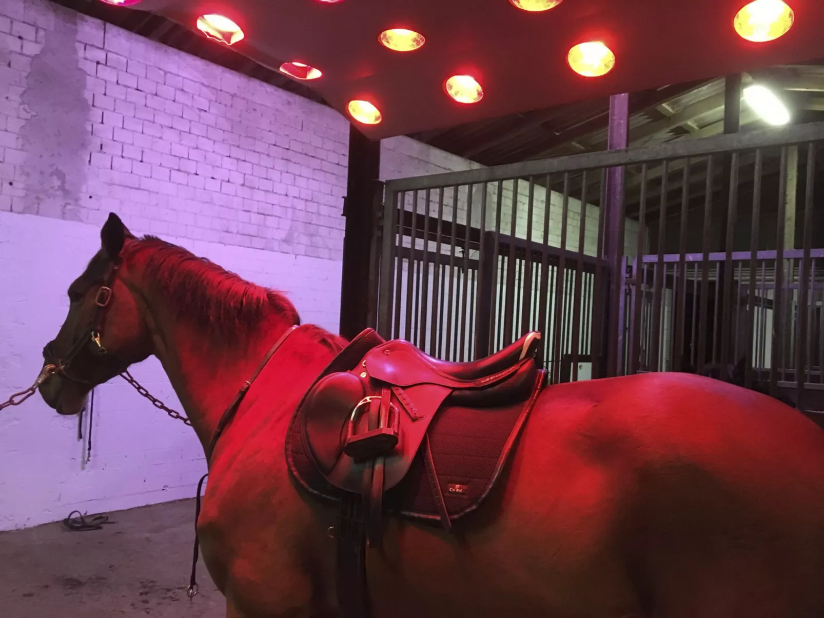 Pappelhof-Image-tags.info