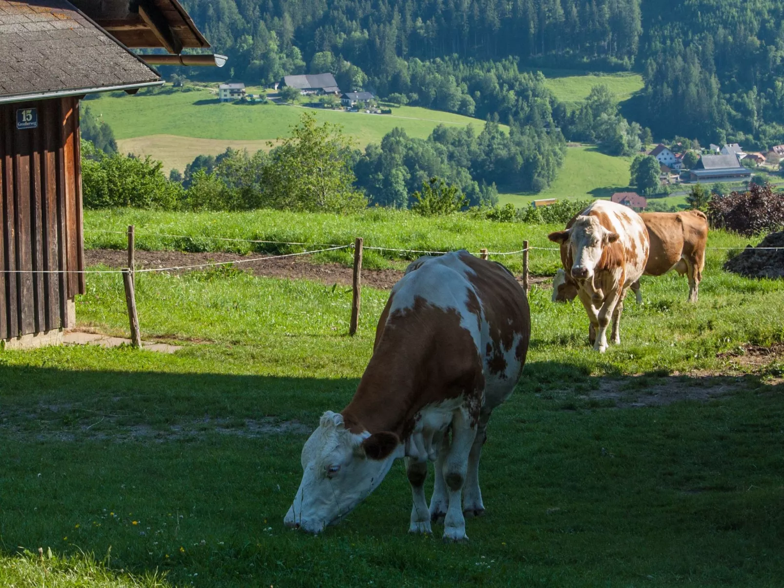 Moderne Wohnung in Pöls mit großer Terrasse-Outside