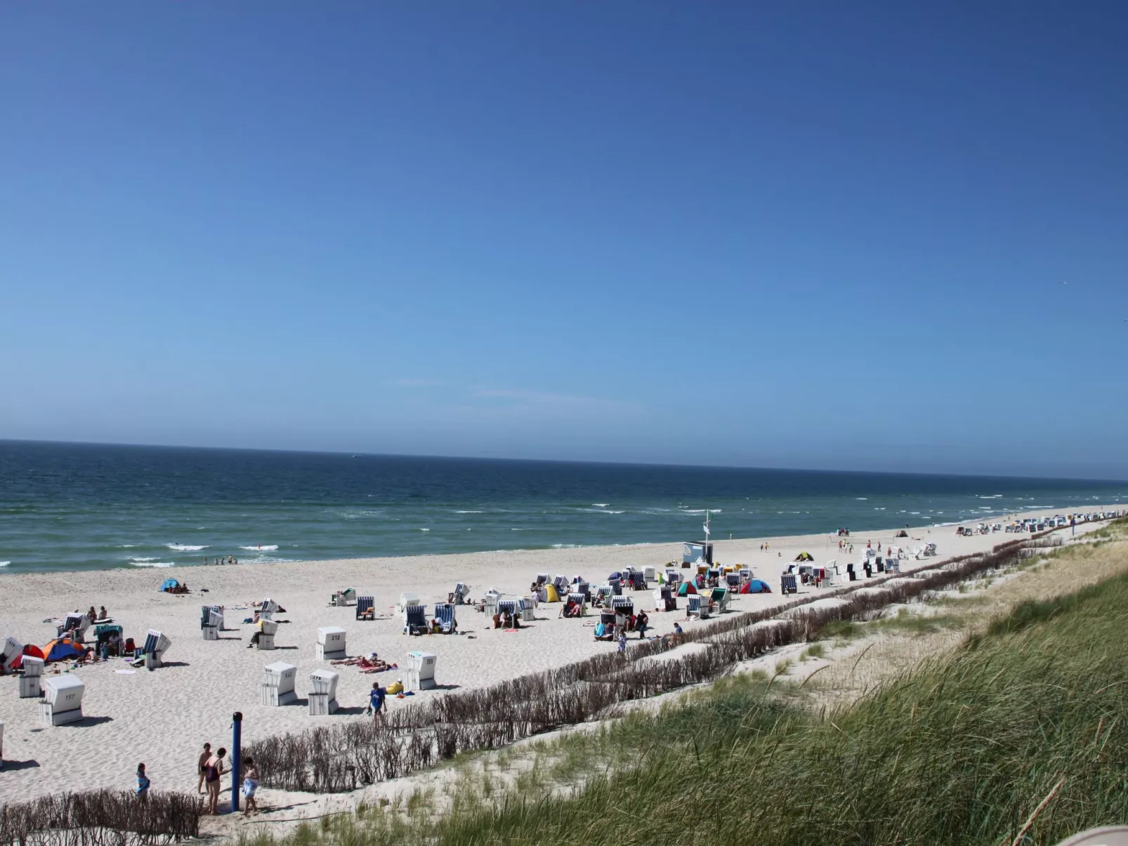 Strandfloh in Hörnum-Draußen