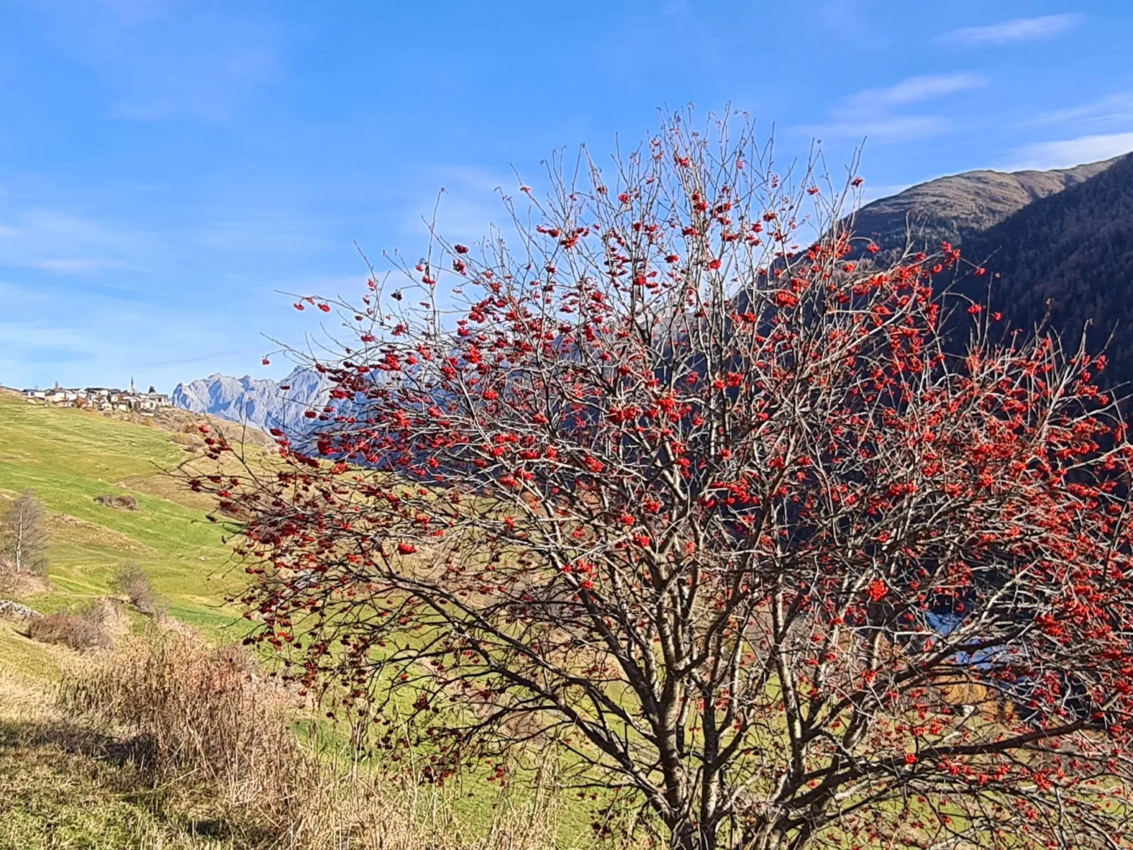 Wohnung mit atemberaubender Aussicht-Draußen