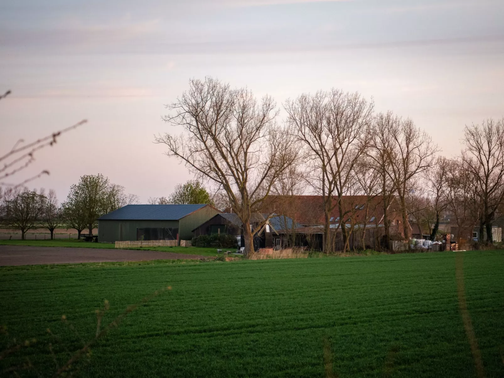 Einzigartiger Aufenthalt "The Moggershil" auf dem Bauernhof-Outside
