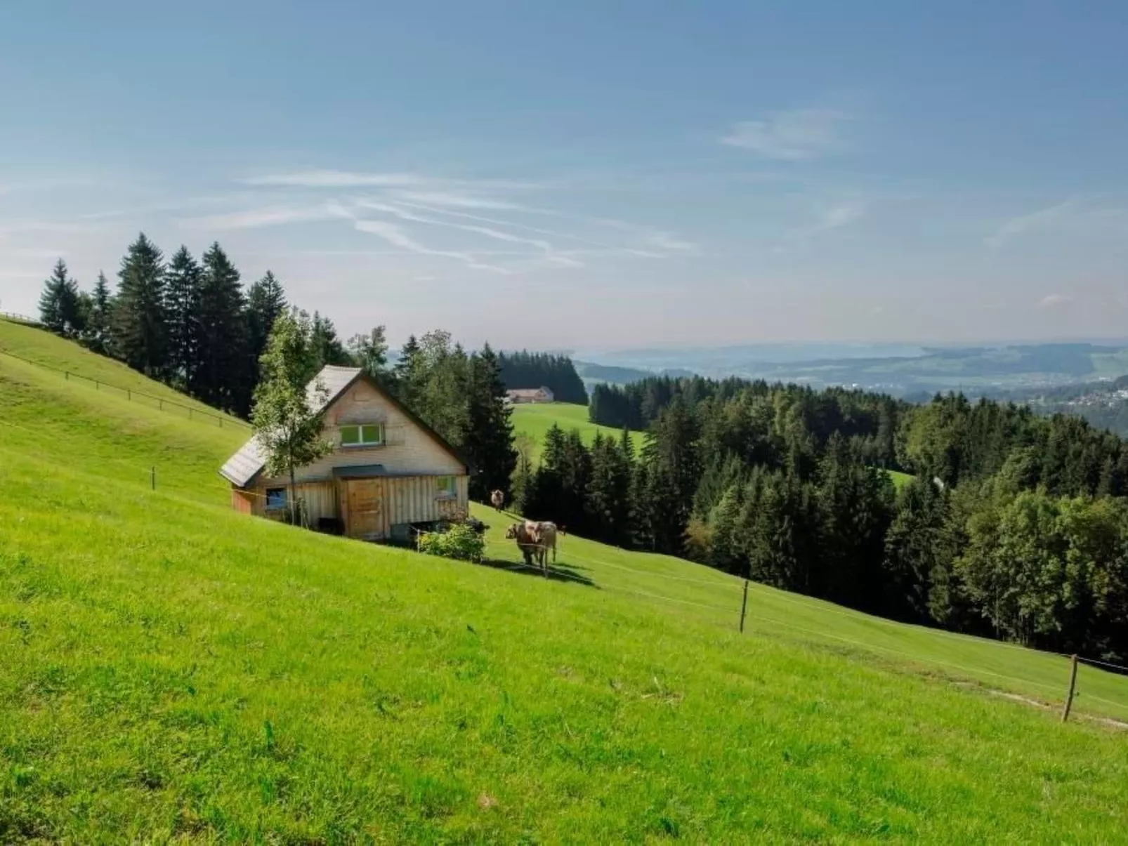 Bauernhof Fendrig  - neue Wohnung-Draußen