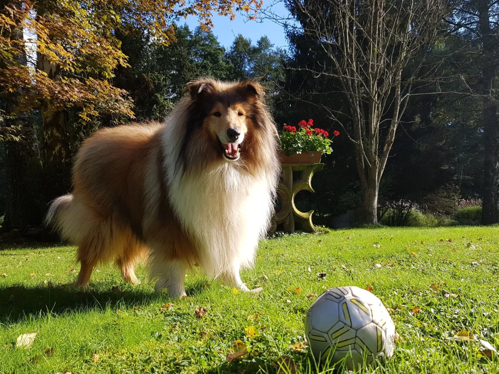 Ferienvilla mit eigener Sauna-Draußen