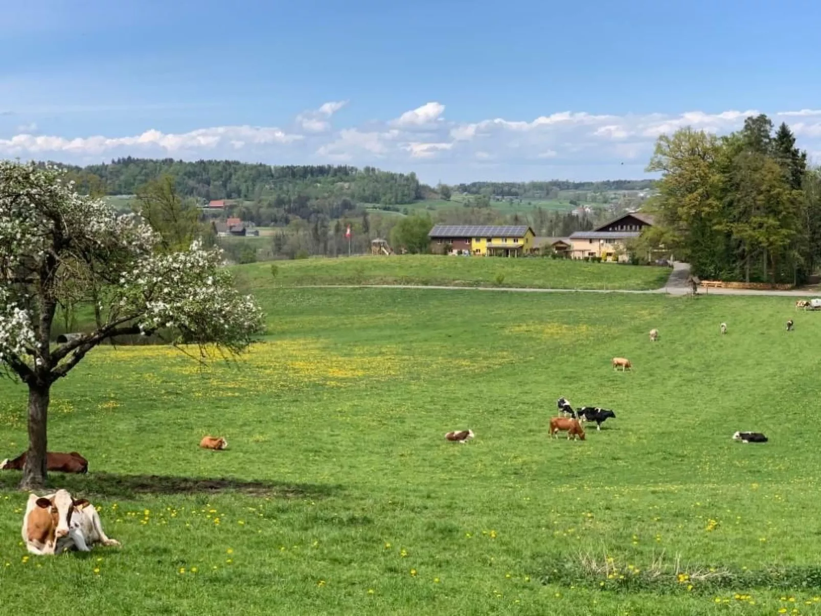 Rehalp Westen-Draußen