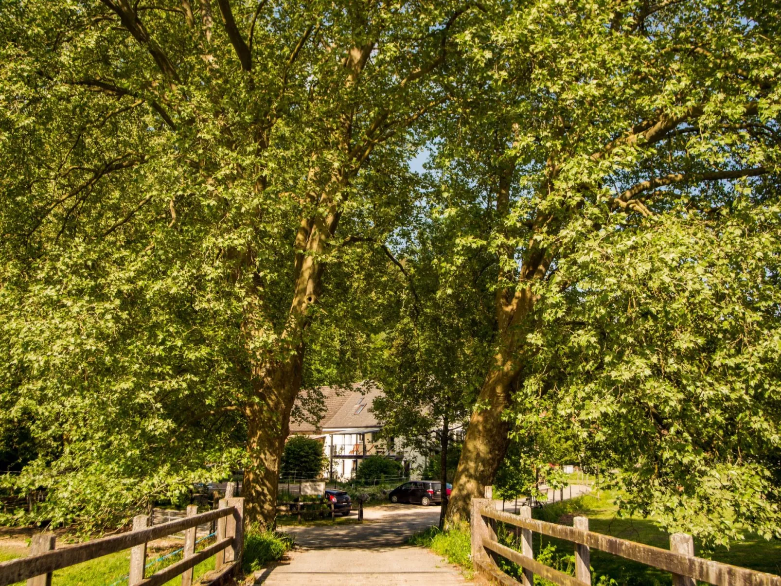 Leben "Im Herzen der Farm"-Draußen