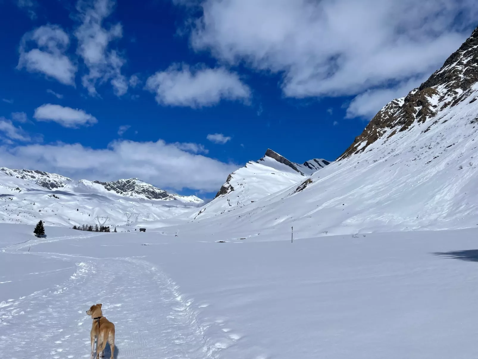Al bel châlet-Outside