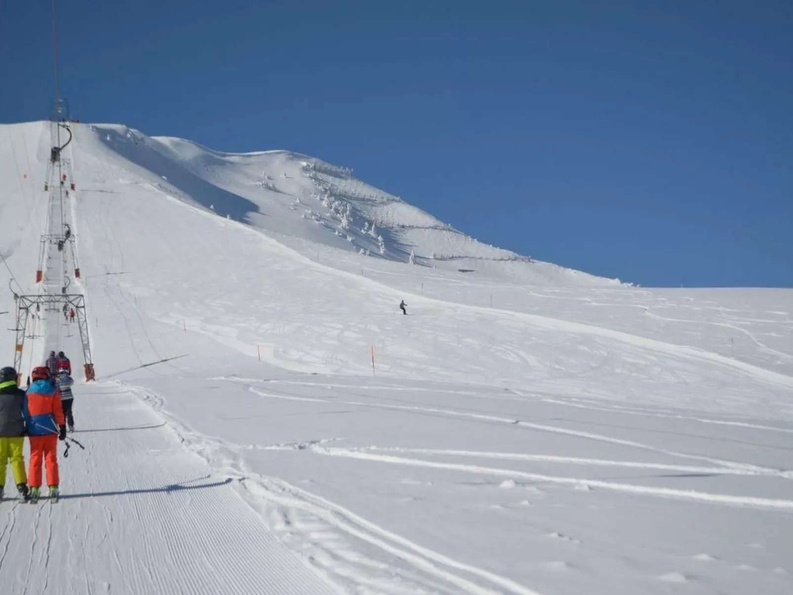 Steinadler-Image-tags.info