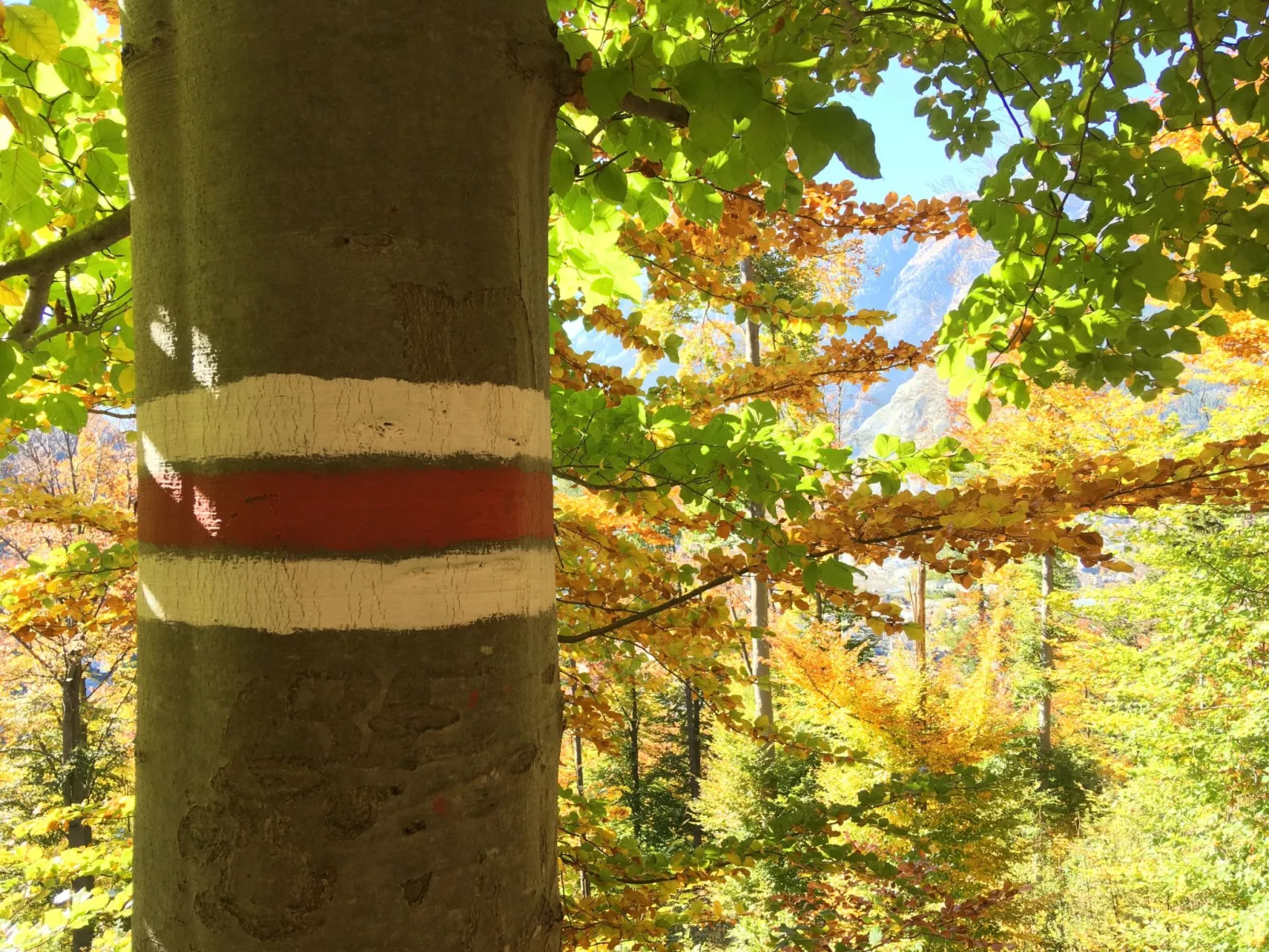 Guest House Chur-Outside