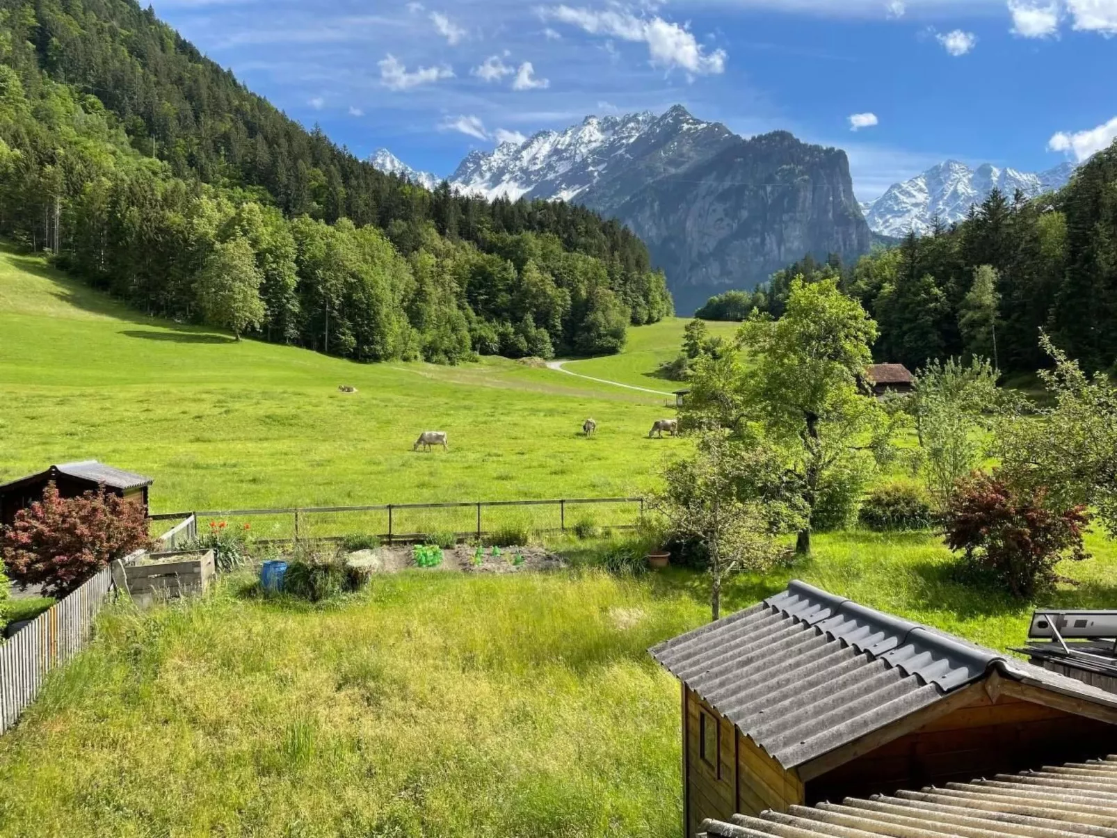 Alpine Home Streich-Outside