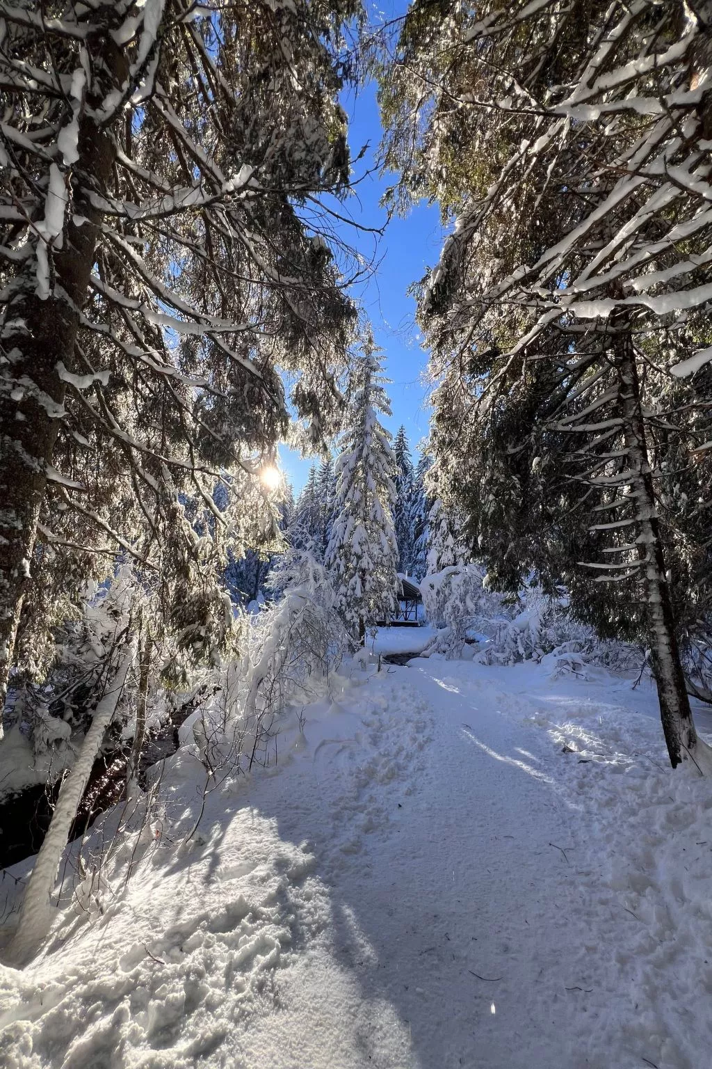 Peak App., Morgins-Dehors