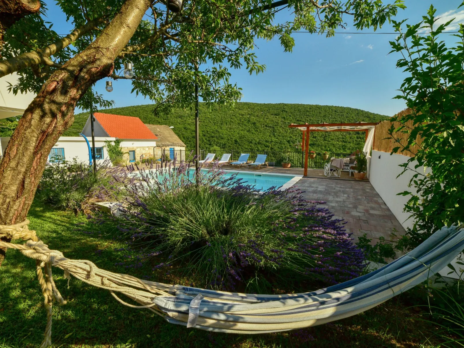 Dalmatinisches Landhaus Martin-Outside