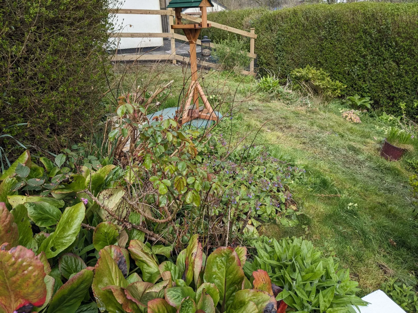 Velvet Cottage-Image-tags.info