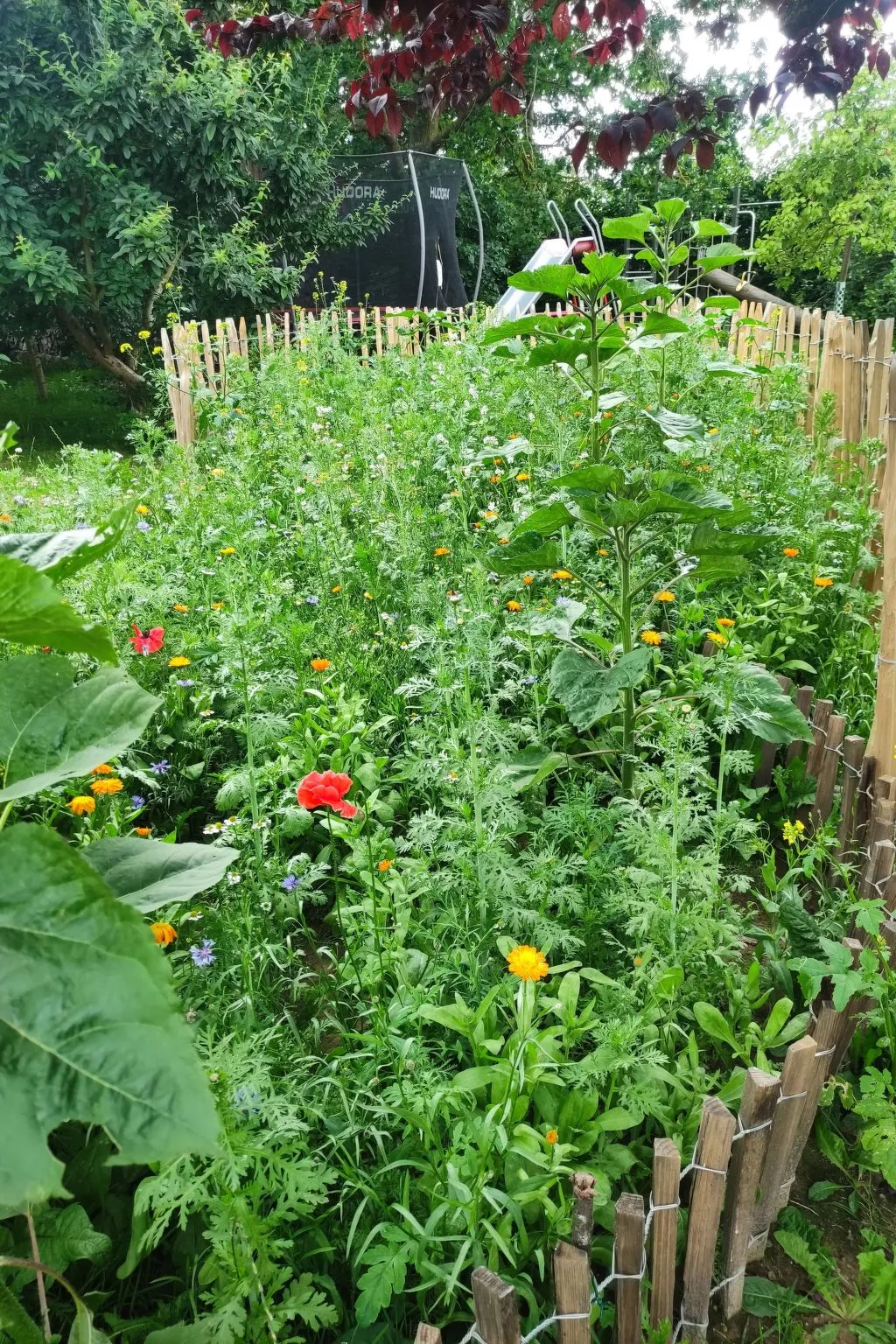 Janet Ratschkowski-Outside