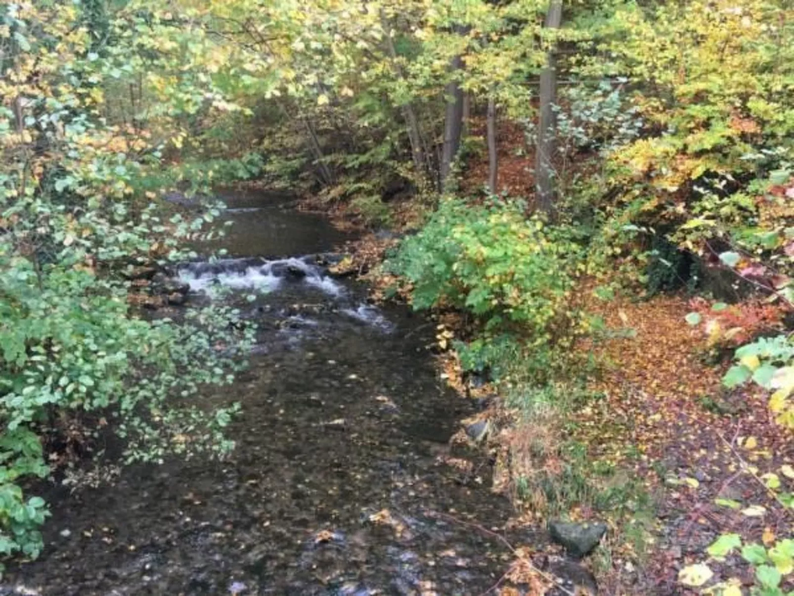 Feriendomizil Adler-Draußen